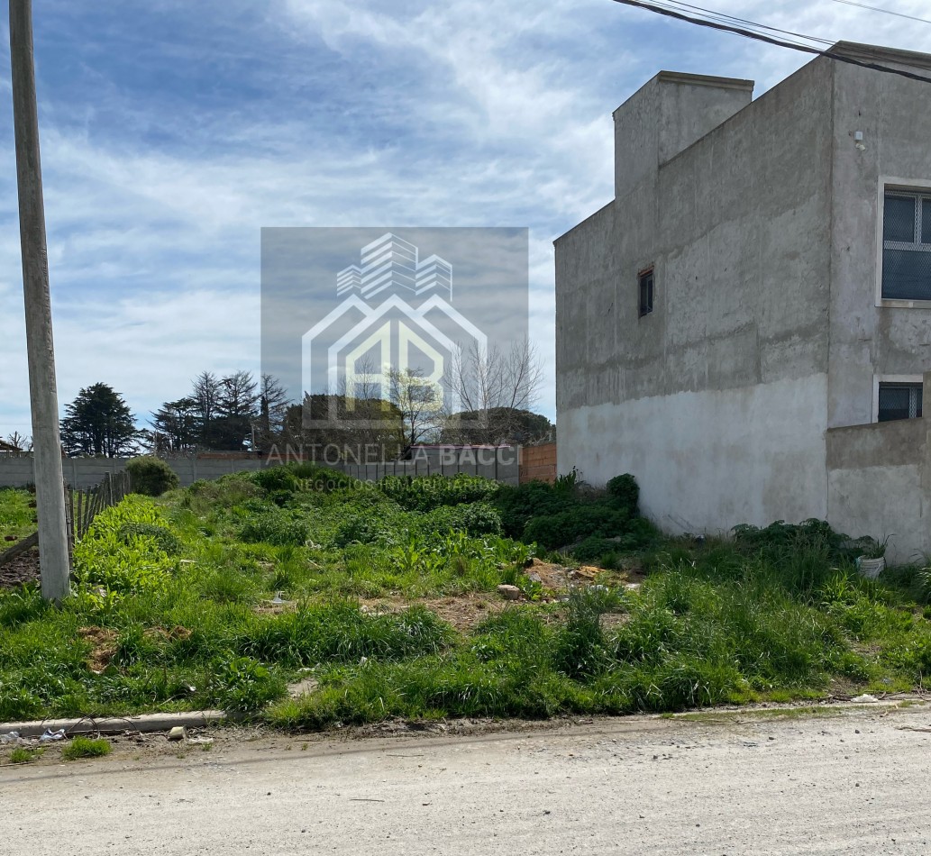 Lote en calle Cordoba