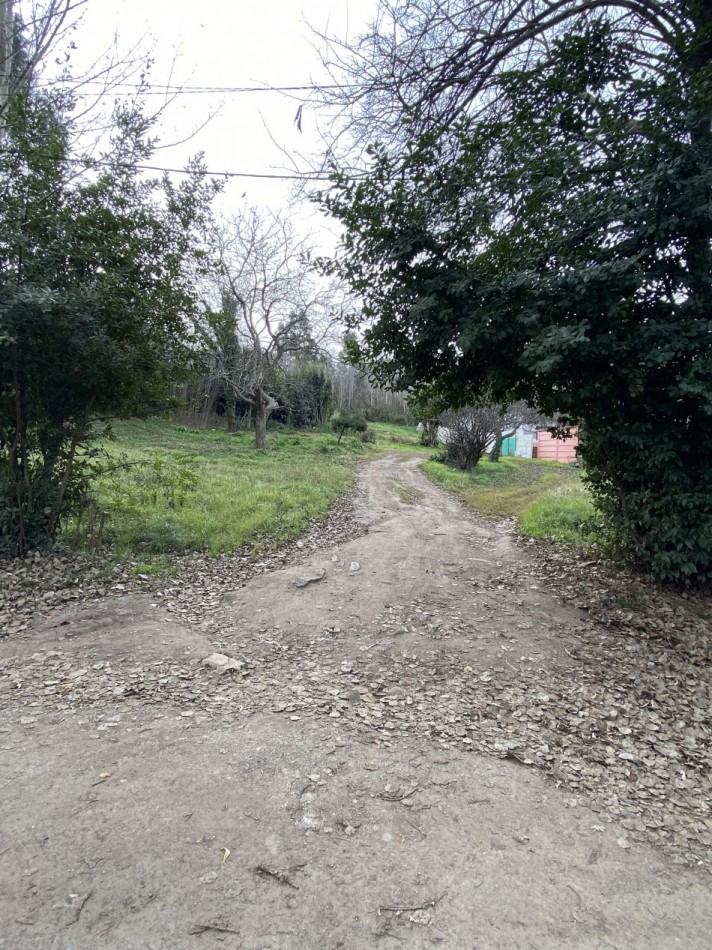 Lote Santa maria de Oro