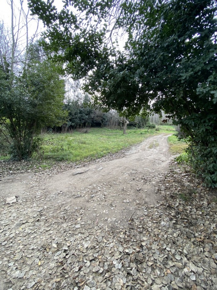 Lote Santa maria de Oro