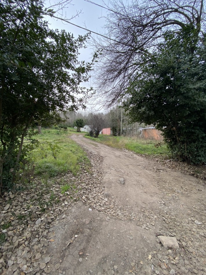 Lote Santa maria de Oro